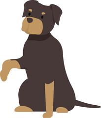 Rottweiler dog sitting and raising its paw