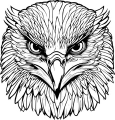 Realistic Falcon Head Coloring Illustration