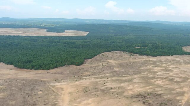 Bledowska Desert aka Polish Sahara aka Pustynia Bledowska. The only desert in Poland and the largest inland area of loose sand in Europe. Silesian Highlands in the Lesser Poland Voivodeship.