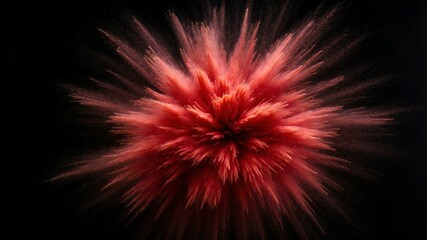 red powder center radial explosion isolated in black b background