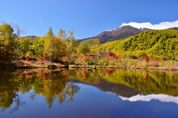 紅葉の乗鞍高原ハイキング