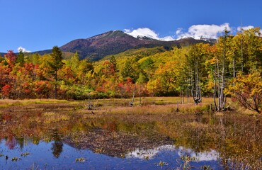 紅葉の乗鞍高原ハイキング