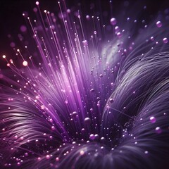 fireworks in the sky