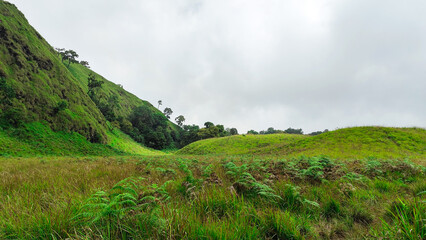 Obraz premium beautiful savanna propok at sembalun village lombok, indonesia. the landscape is for hiking and outdoor lifestyle concept. landscape of green field
