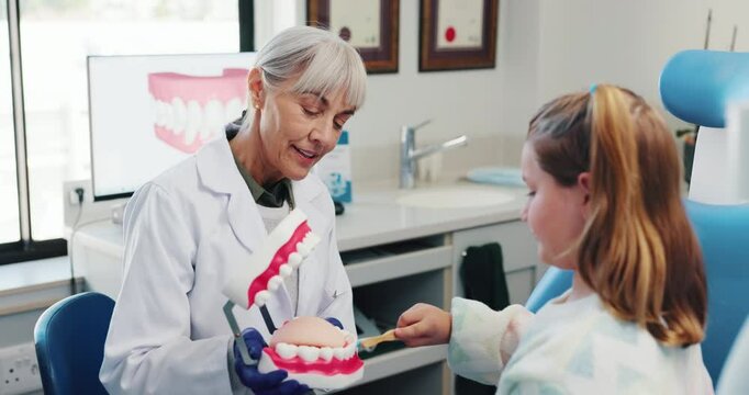 Health care, pediatric dentist and child for teaching, how to and teeth whitening for development with talking. Hospital, mature doctor and girl with dental model for cleaning, hygiene and practice