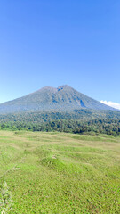 Fototapeta premium view of Mount Rinjani from Kondo Hill and savanna propok at sembalun village lombok, indonesia. the landscape is for hiking and outdoor lifestyle concept. beautiful natural scenery