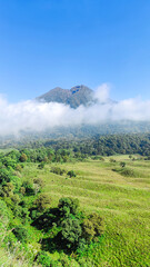 Fototapeta premium view of Mount Rinjani from Kondo Hill and savanna propok at sembalun village lombok, indonesia. the landscape is for hiking and outdoor lifestyle concept. beautiful natural scenery