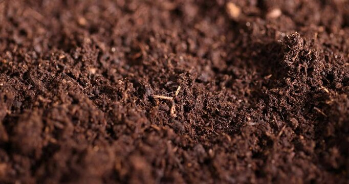 fertile soil close-up for sowing plants, details of agricultural soil to improve the quality of crop plants