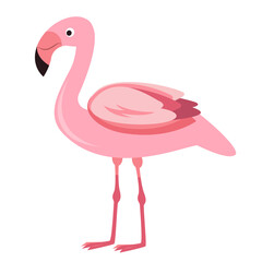 pink flamingo illustration