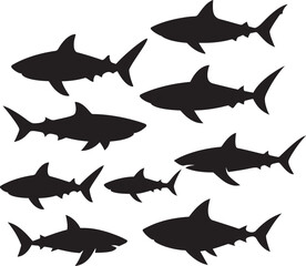 Obraz premium set of shark silhouette collection white background, silhouette wild shark illustration, Set of different shark silhouette