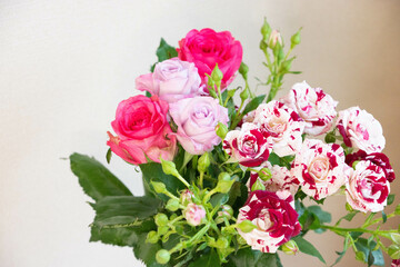 カラフルな花束