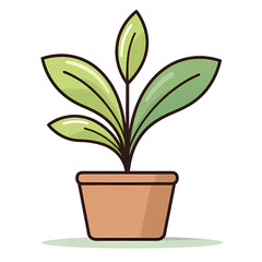Botanical Illustration of Potted Greenery. PNG Isolated on Transparent background.