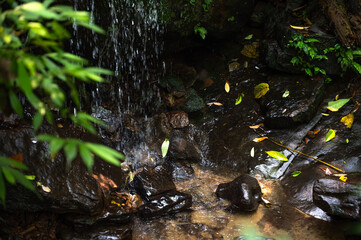 Lovely corner of the stream, little waterfall splashing on the round rocks, foreground out of focus in purpose, in Keelung city, Taiwan.