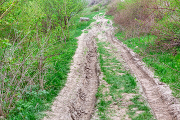 Dirt road leading through a serene countryside landscape. Country road with a few trees in the background. The road is muddy and has a lot of dirt on it