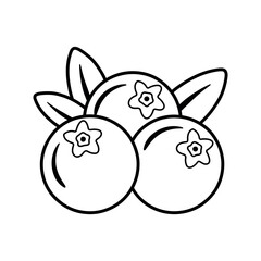 Blueberry Black Line Icon in Flat Vector Illustration