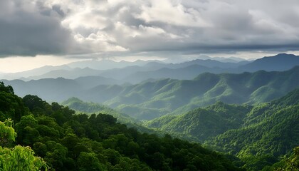 Aerial View of dense jungle valley covered in fog on an overcast day in Halmahera, Indonesia. A lush green forest with a thick fog covering the trees