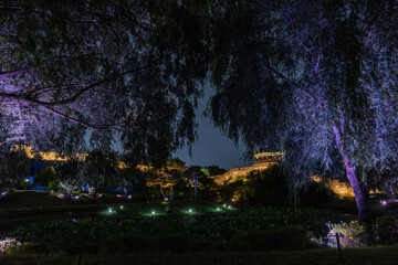 Night view of Hwaseong Fortress, Traditional Architecture of Korea in Suwon, South Korea	
