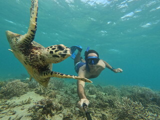 scuba diver and turtle