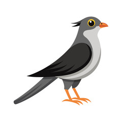 illustration of a Cuckoo animal on a white