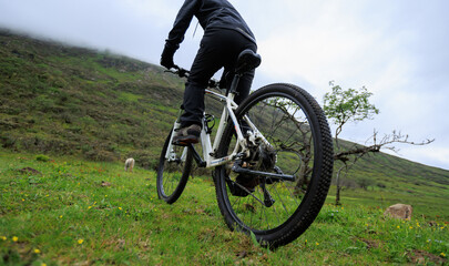 Fototapeta premium Riding mountain bike in the beautiful mountains