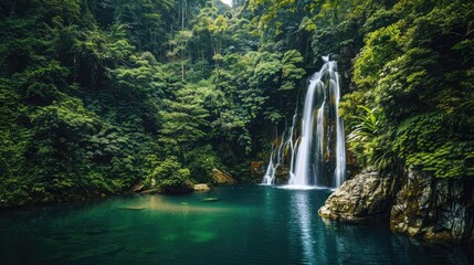 Fototapeta premium A serene waterfall flowing into a tranquil pool, surrounded by dense greenery and tall trees