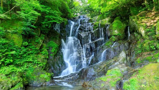 初夏の白糸の滝　タイムラプス ズームアウト　福岡県糸島市　Shiraito Falls in early summer. time lapse zoom out.Fukuoka Pref, Itoshima City.