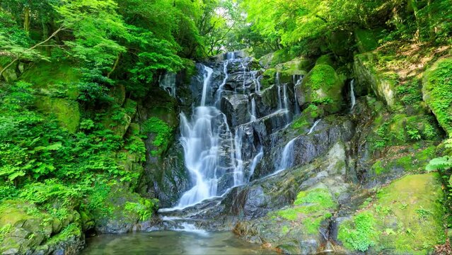 初夏の白糸の滝　タイムラプス　福岡県糸島市　Shiraito Falls in early summer. Fukuoka Pref, Itoshima City.