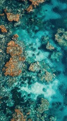 Fototapeta premium Aerial view of a vast coral reef system, vibrant colors and textures visible beneath crystal-clear water
