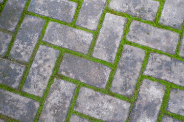 top view photo Green grass grows in the cracks of the paving floor.