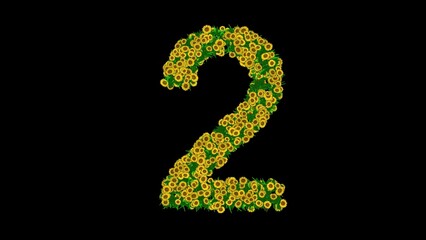 Number 2 with green leaves and yellow daisy flowers on plain black background