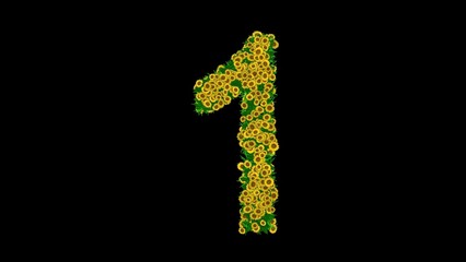 Number 1 with green leaves and yellow daisy flowers on plain black background