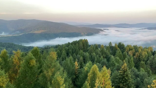 Beskid Sądecki, Muszyna Dolina Popradu, poranne mgły