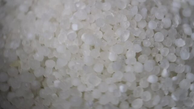 Raw Sabudana (Tapioca Sago) rotation in round Bowl.
