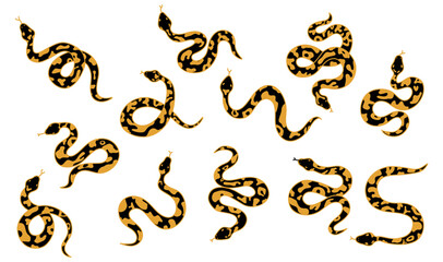 Snake silhouette vector on white set 