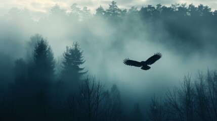 Fototapeta premium A large black bird flies through the misty forest