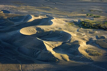 Aerial shot of rolling sand dunes sculpted by the wind, long shadows emphasizing their curves