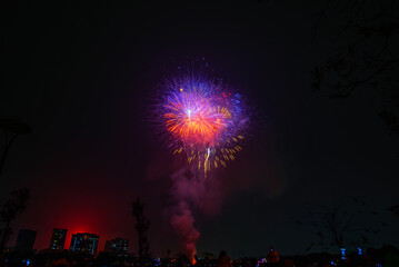 Firework of the New Year 2024