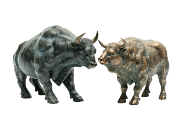 Stock market bull isolated on the transparent background