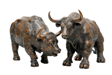 character stock market bulls isolated on the transparent background