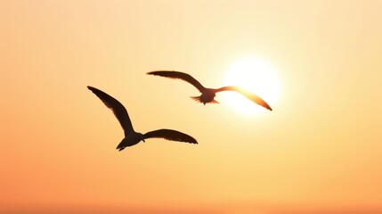 Naklejka premium Seagulls flying in the sunset sky, showcasing freedom and nature's beauty