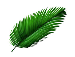Obraz premium Close-up of a vibrant green tropical palm leaf isolated on a white background. Perfect for nature, botanical, and tropical design themes.