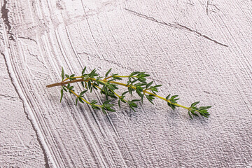 Aroma seasoning thyme stem with leaves