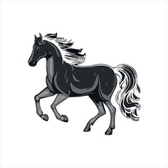 horse silhouette isolated on white