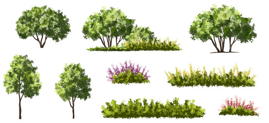 Fototapeta premium Vertor set of spring blossom tree,bloomimg plants side view for landscape elevation and section,eco environment concept design,watercolor illustration,colorful season