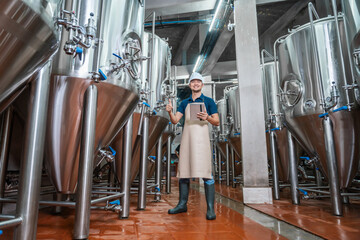 Portrait of Asian male brewer working in the craft brewery.