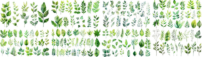 Green watercolor leaves on isolated background  © Pixel Park