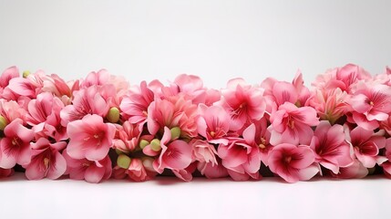 Fototapeta premium pink tulips in vase