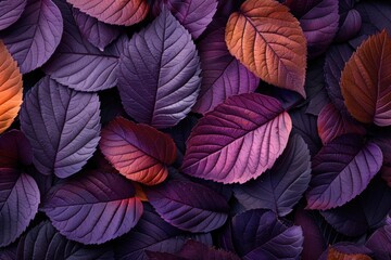 Fototapeta premium Plants and Leaves