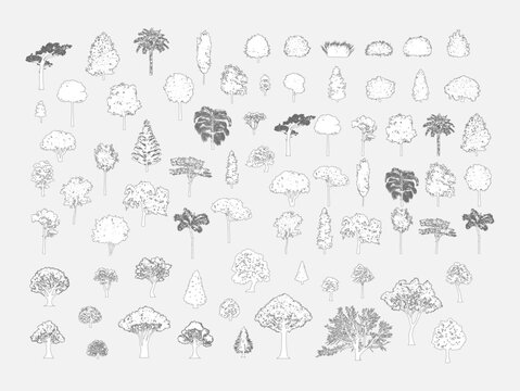 Big set of tree silhouette, Vector illustration in stroke fill in white. 