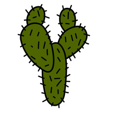  Vector Green Cactus plant illustration
